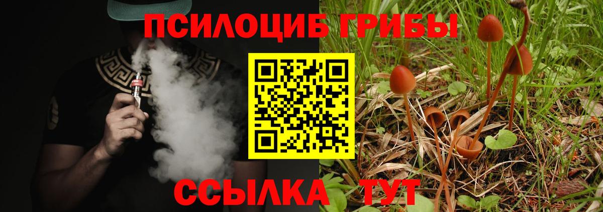 Псилоцибиновые грибы мухоморы  Галлюциногенные грибы Cubensis  купить  сайты  Усинск  Вход с VPN 